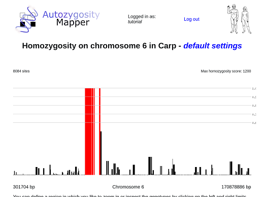 chromosomal homozygosity
